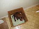 browndog1.JPG