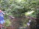creek1.JPG