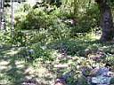 100_0046_0046.jpg