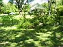 100_0047_0047.jpg