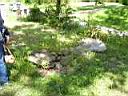 100_0048_0048.jpg
