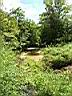 100_0051_0051.jpg