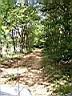 100_0058_0058.jpg
