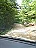 100_0062_0062.jpg
