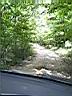 100_0063_0063.jpg
