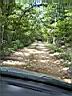 100_0065_0065.jpg