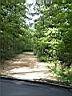 100_0067_0067.jpg