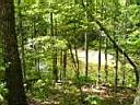 100_0073_0073.jpg