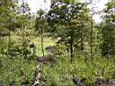 100_0081_0081.jpg