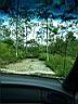 100_0084_0084.jpg