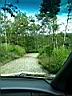 100_0085_0085.jpg