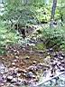 100_0091_0091.jpg