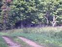 100_0094_0094.jpg