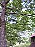 100_0097_0097.jpg