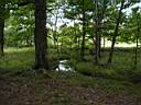 100_0105_0105.jpg