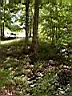 100_0123_0123.jpg