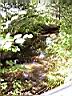 100_0127_0127.jpg