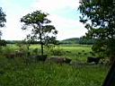 100_0131_0131.jpg