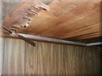 ceiling1.jpg