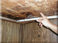 ceiling2.jpg