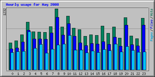 Hourly usage for May 2008